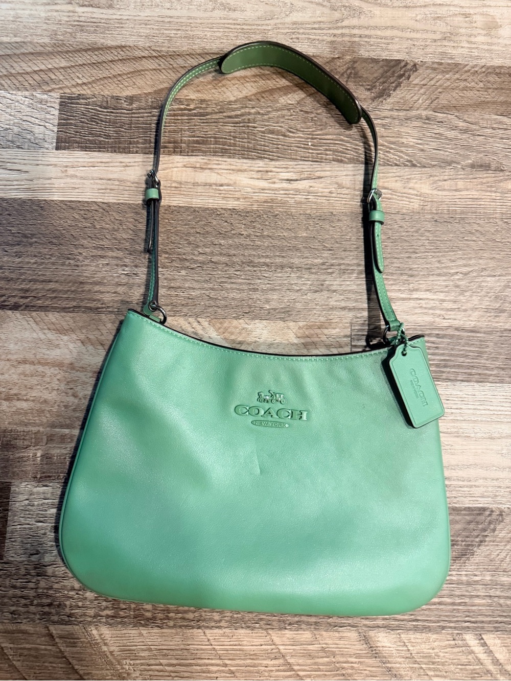 Coach Smooth Leather Shoulder Bag in Mint Green